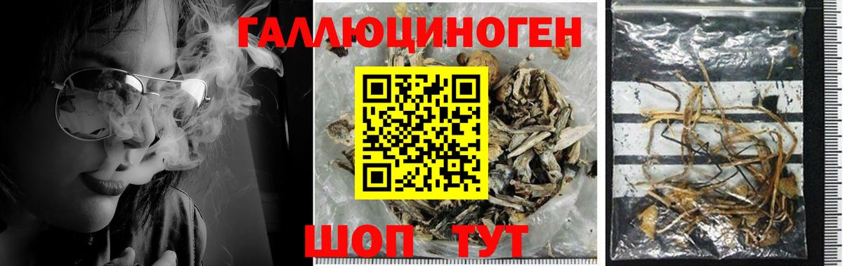 Псилоцибиновые грибы Cubensis  Галлюциногенные грибы MAGIC MUSHROOMS  Белебей  Вход с VPN 